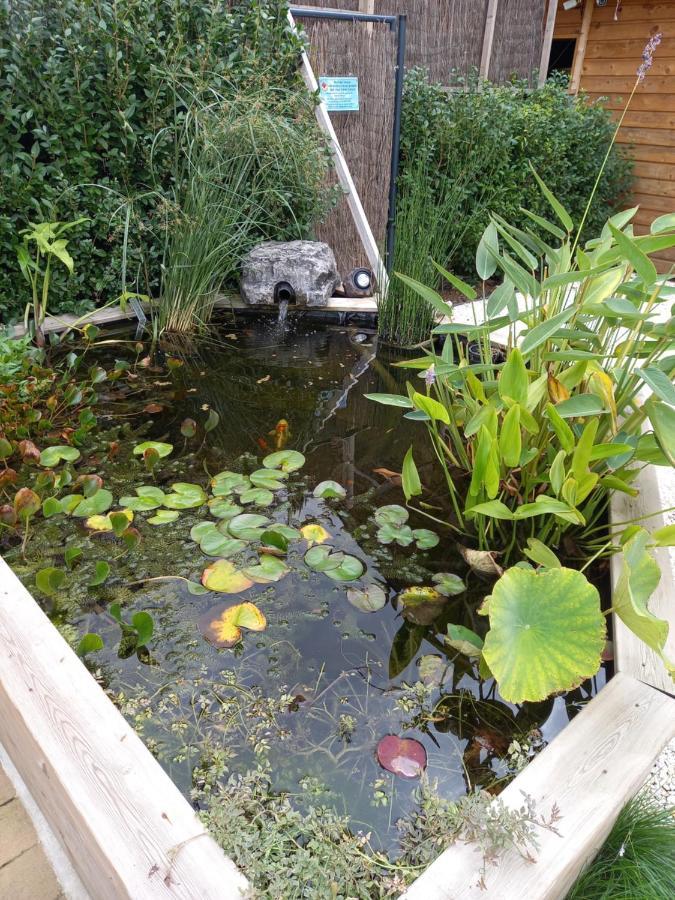 Appartement 3 Eme Etage Avec Piscine Partagee Sedan Kültér fotó